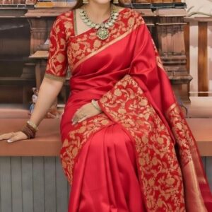 Elegant Rupkotha Katan Saree | রূপকথা কাতান বিয়ের শাড়ি