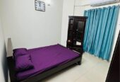 Fully Furnished Flat Rent