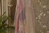 Organza Dupatta Suits online