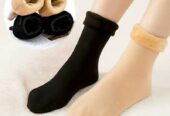 Women Socks | Online Best Sale 2023