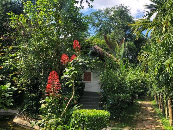 বালিশিরা রিসোর্ট মৌলভীবাজার