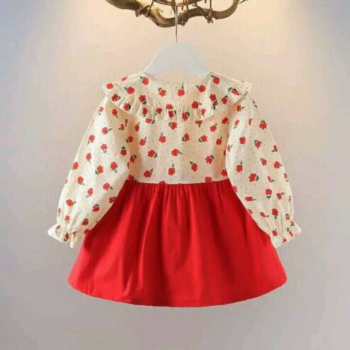 Baby Girl Dress