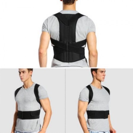 Back support belt