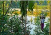 Tree Top Adventure Farm, Sylhet