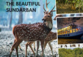 Sundarban Tour Package