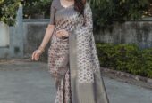 Soft Banarasi Sarees