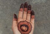 Organic Mehendi Cone