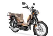 TVS XL 100 cc Bike