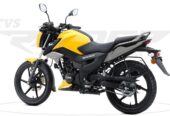 TVS Raider 125 cc Bike