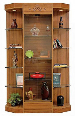 Shelf Type Showcase designs