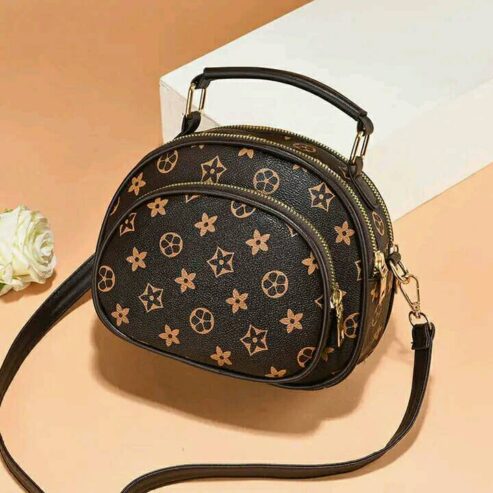 Stylish Bag For Ladies BD