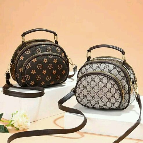 Stylish Bag For Ladies BD