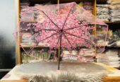 Transparent Umbrella Online BD