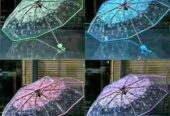 Transparent Umbrella Online BD