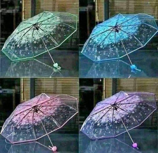 Transparent Umbrella Online BD