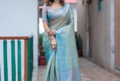 Silk Zari Saree Collection