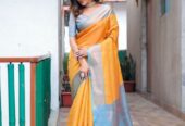 Silk Zari Saree Collection