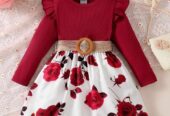 Winter Baby Dress BD