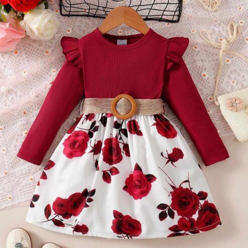 Winter Baby Dress BD