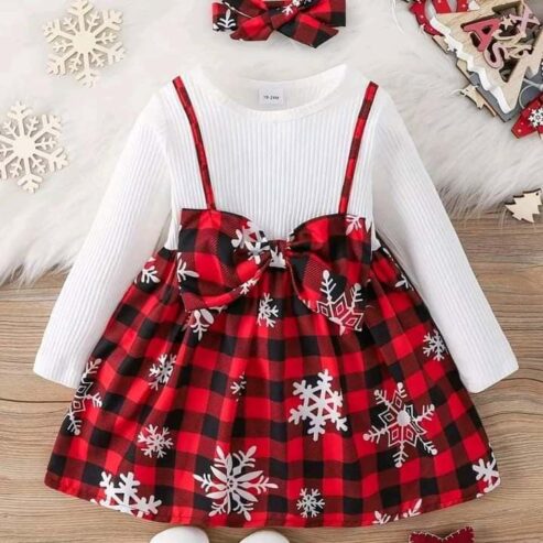 Winter Baby Dress BD