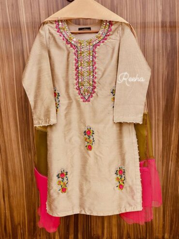 Indian Silk Salwar Kameez