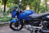 Bajaj pulsar 2013 Used Bike