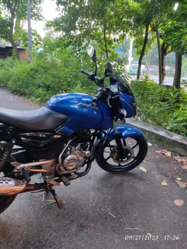 Bajaj pulsar 2013 Used Bike