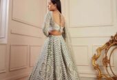 Beautiful Indian Designer Lehenga