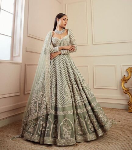 Beautiful Indian Designer Lehenga