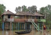 Bonolota Eco Cottage, Sundarbans