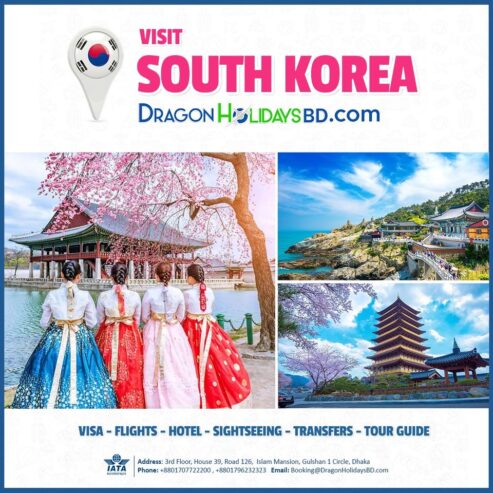 Customized South Korea Tour Packages