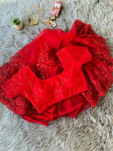 Butterfly Net Red Saree