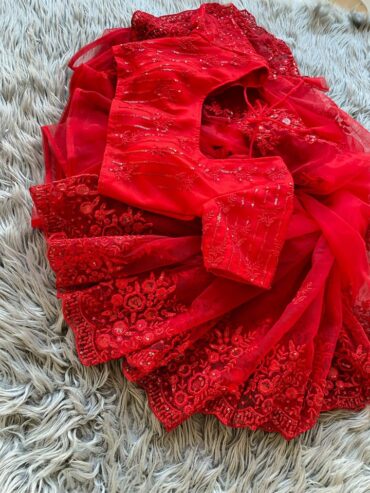 Butterfly Net Red Saree