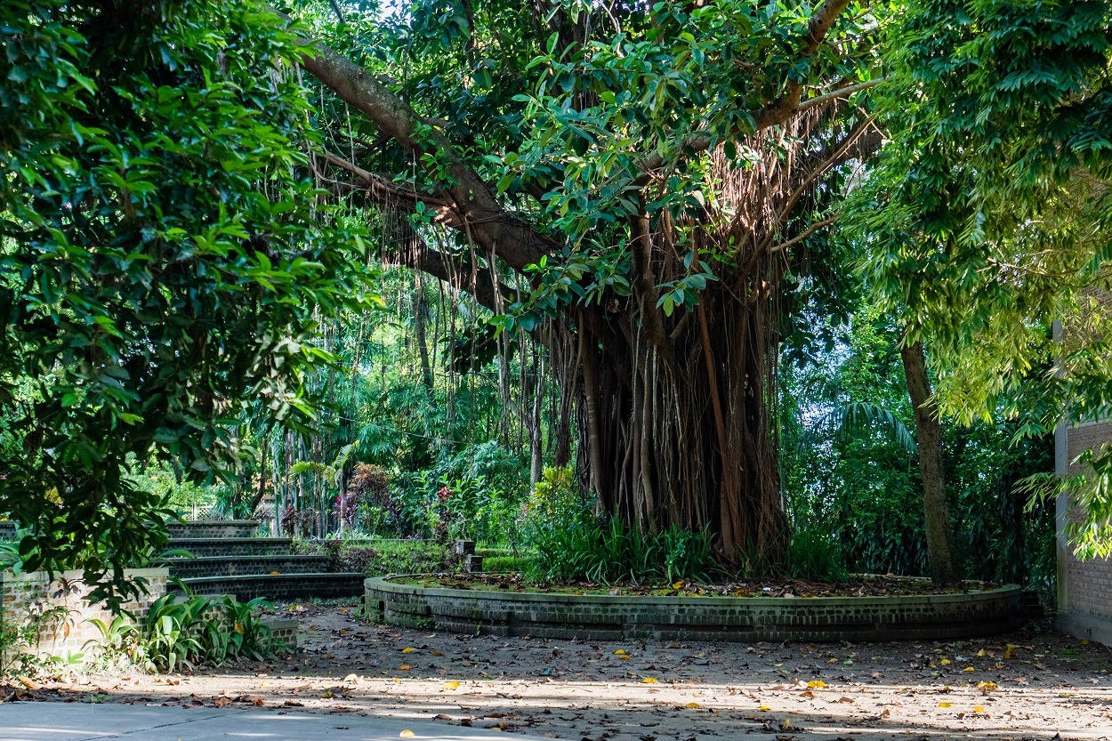 Water Garden Resort And Spa, Tangail