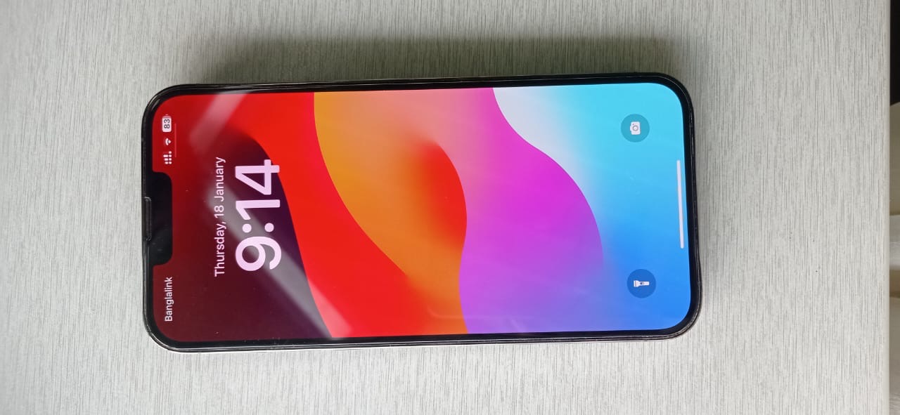 iPhone 13 Pro Max 256 GB HK