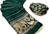 Beautiful Silk Sarees Collection