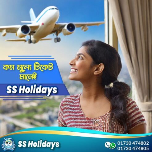 Domestic Air Ticket Service