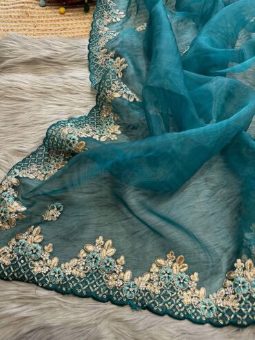 Beautiful Organza saree collection