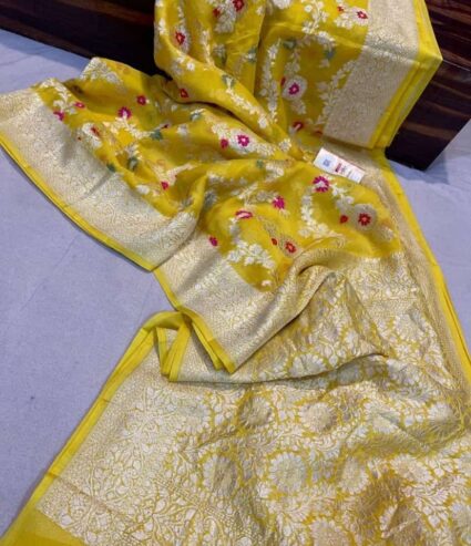 Traditional Dolla Silks Saree Collection