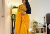 Gorgeous Organza Saree Party Wear