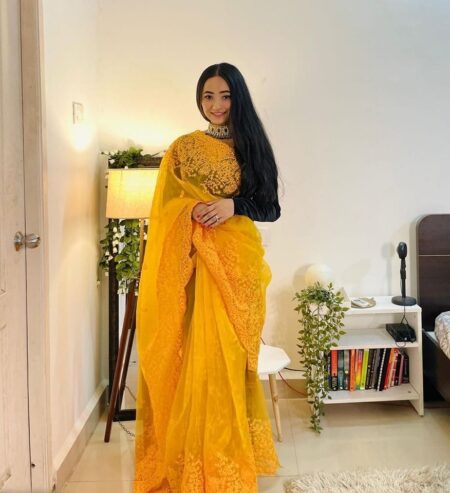 Gorgeous Organza Saree Party Wear