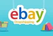 Ebay Dropshipping Automation By Stores Automation