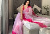 Soft Silk Organza Saree