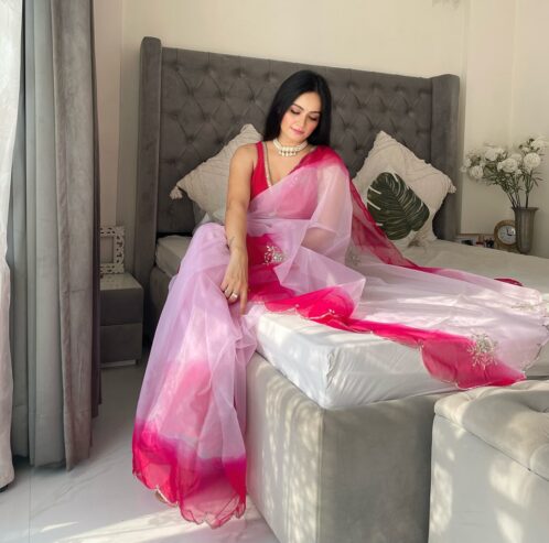 Soft Silk Organza Saree