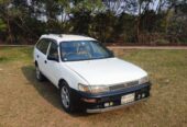 Toyota 100 Wagon Car