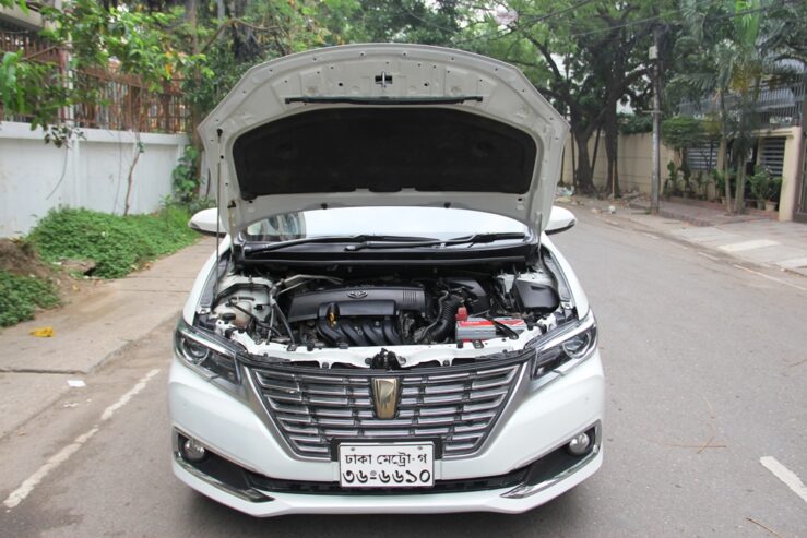 Toyota Premio FEX Package Octane Drive 2019