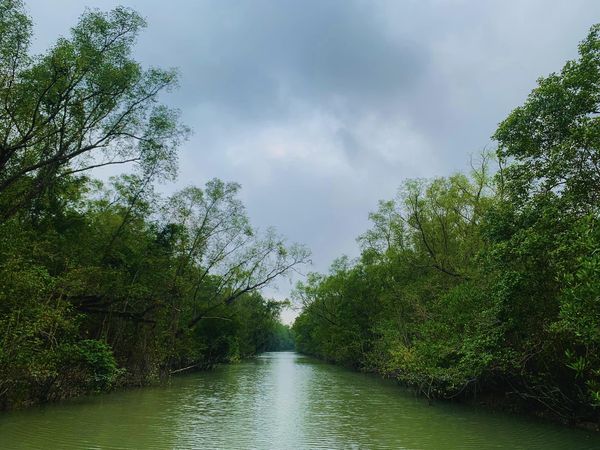 Sundarban Tour