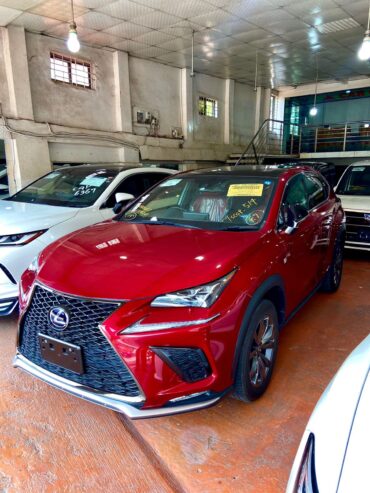 Lexus NX 300h  20