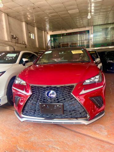 Lexus NX 300h  20