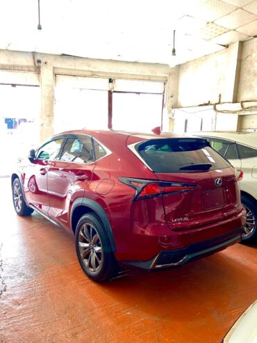 Lexus NX 300h  20